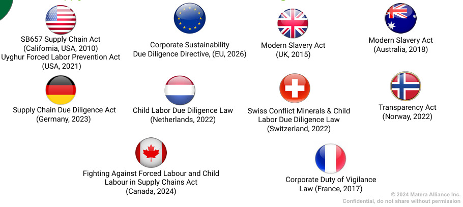 International Supply Chain Laws Combating Forced Labor & Modern Slavery